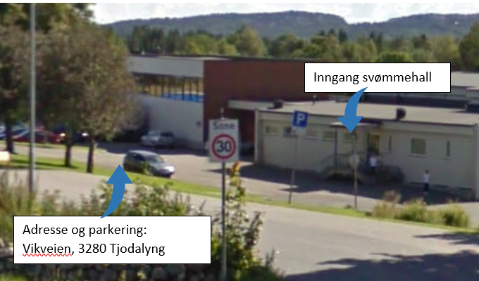 Tjodalyng skole